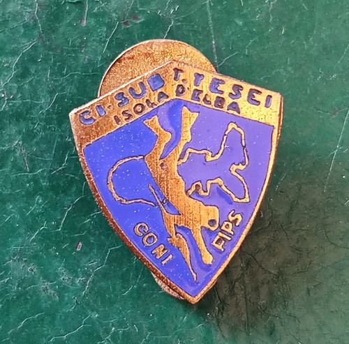 Spilla con smalti circolo - spilla,